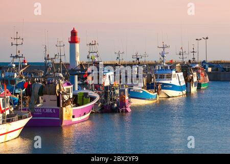 Francia, Charente-Maritime (17), Chalutiers à quai sur le Port de la Cotinière à Saint-Pierre d'Oléron Foto Stock