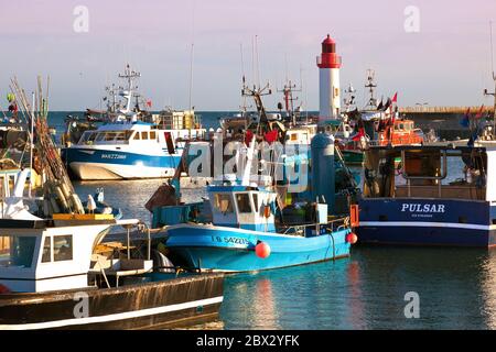 Francia, Charente-Maritime (17), Chalutiers à quai sur le Port de la Cotinière à Saint-Pierre d'Oléron Foto Stock