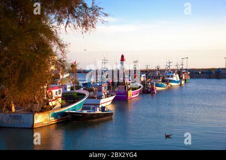 Francia, Charente-Maritime (17), Chalutiers à quai sur le Port de la Cotinière à Saint-Pierre d'Oléron Foto Stock