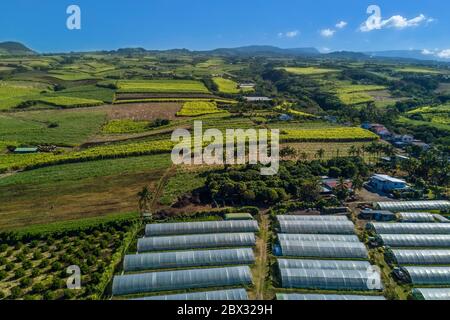 Francia, isola di Reunion (dipartimento francese d'oltremare), Petite-Ile, serre e campi di canna da zucchero sulle pendici del vulcano Piton de la Fournaise (vista aerea) Foto Stock