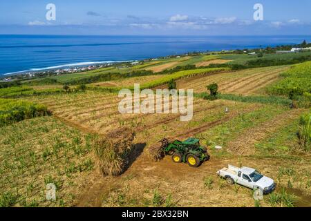 Francia, isola di Reunion (dipartimento francese d'oltremare), Petite-Ile, taglio e raccolta della canna da zucchero (vista aerea) Foto Stock