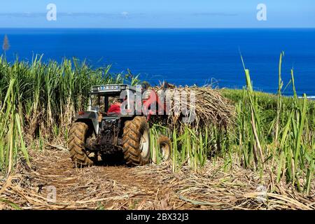 Francia, isola di Reunion (dipartimento francese d'oltremare), Petite-Ile, Foto Stock