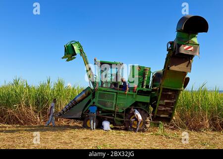 Francia, isola di Reunion (dipartimento francese d'oltremare), Saint-Louis, raccolta meccanica con una mietitrice di canna da zucchero in un campo di canna da zucchero Foto Stock