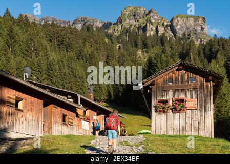 Francia, alta Savoia (74), riserva naturale Sixt-Fer-à-Cheval, i Chalets des Fonts con le torri ST-hubert (2186 m) sullo sfondo Foto Stock