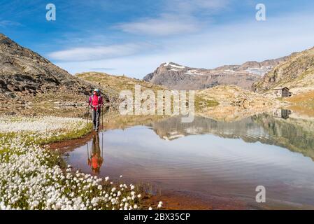 Francia, Savoia (73), Haute-Maurienne, Parco Nazionale della Vanoise, Bonneval-sur-Arc, escursionista sul bordo del Lac Blanc (2753 m) con il Rifugio du Carro Foto Stock