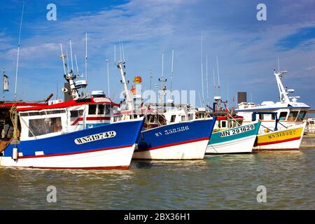 Francia, Charente-Maritime (17), Bateaux de pêche au port du Chapus, Bourcefranc-le-Chapus Foto Stock