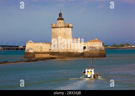 Francia, Charente-Maritime (17), Plate ostreicole devant le Fort Louvois, Bourcefranc-le-Chapus Foto Stock