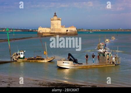 Francia, Charente-Maritime (17), placche ostréicoles devant le Fort Louvois, Bourcefranc-le-Chapus Foto Stock