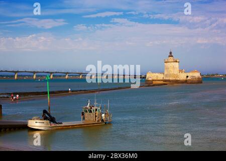 Francia, Charente-Maritime (17), Plate ostreicole devant le Fort Louvois, Bourcefranc-le-Chapus Foto Stock