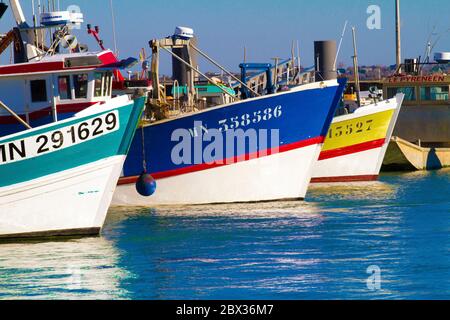 Francia, Charente-Maritime (17), Bateaux de pêche au port du Chapus, , Bourcefranc-le-Chapus Foto Stock