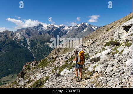 Francia, Hautes-Alpes (05), Névache, valle di la Clarée, escursionista sul sentiero tra il col de Buffère e il Vallon de la Moulette, sullo sfondo il massiccio del Écrins Foto Stock