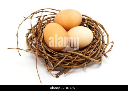 tre uova di pollo in nido su sfondo bianco, concetto di pasqua Foto Stock