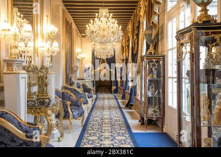 Francia, Indre e Loira, Valle della Loira dichiarata Patrimonio Mondiale dall'UNESCO, Saint-Etienne-de-Chigny, Château de Beauvais, il Domaine de Beauvois Chateau-hotel è stato rinnovato dal miliardario americano Zaya Young, la reception Foto Stock