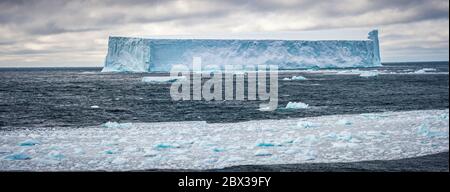 Regioni polari, Antartide, Isole Orcadi del Sud, Oceano Meridionale, iceberg tabulare che deriva Foto Stock