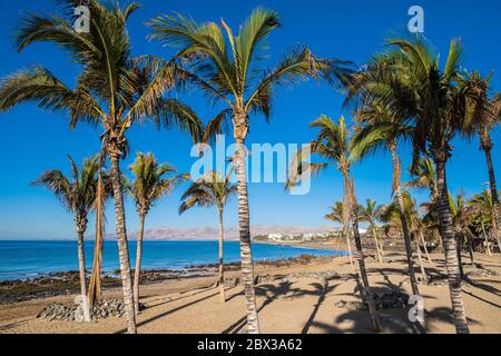 Spagna, Isole Canarie, Lanzarote, Puerto del Carmen, Playa Grande Foto Stock