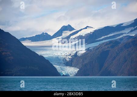 Ghiacciaio Holgate sulla Baia di Aialik nel Parco Nazionale dei fiordi di Kenai nel settembre 2019 vicino Seward, Alaska AK, Stati Uniti. Foto Stock