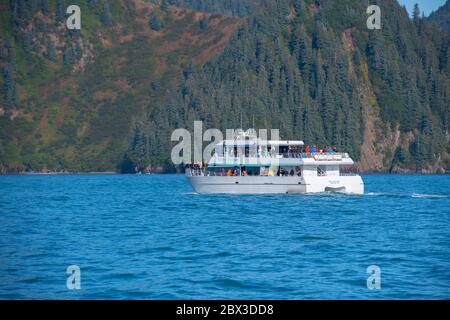 Kenai Fjords Tours nave Orca Voyager a Aialik Bay nel Kenai Fjords National Park, Kenai Peninsula, Alaska, AK, USA. Foto Stock