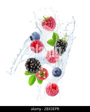 berry mix in acqua spruzzata isolato su uno sfondo bianco. Foto Stock