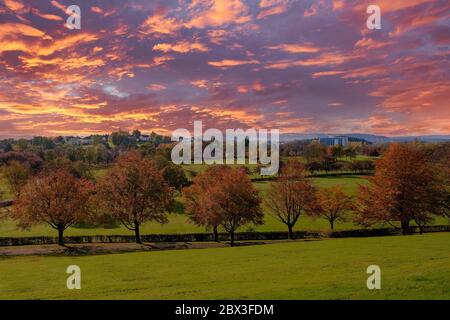 Colori autunnali Bellahouston Park come il tramonto mette in luce i colori autunnali degli alberi nel parco. Foto Stock