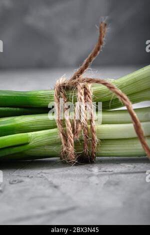 Cipolle verdi fresche legate con una corda, primo piano, cibo e salute concetto con spazio per il testo, sfondo grigio. Foto Stock