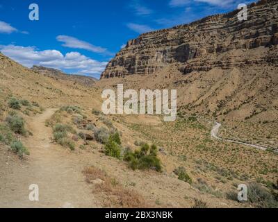 Main Canyon Trail, Little Book Cliffs Wild Horse Range, Little Book Cliffs Wilderness Study Area vicino a Palisade, Colorado. Foto Stock