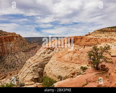 Splendido paesaggio lungo il Cassidy Arch Trail del Capitol Reef National Park nello Utah Foto Stock