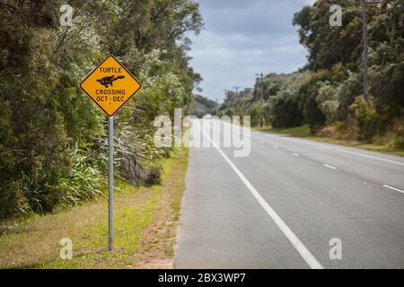 Albany Australia Occidentale 11 Novembre 2019 : Vista ravvicinata dei cartelli di avvertimento gialli stagionali che allertano gli automobilisti alla presenza delle tartarughe Foto Stock