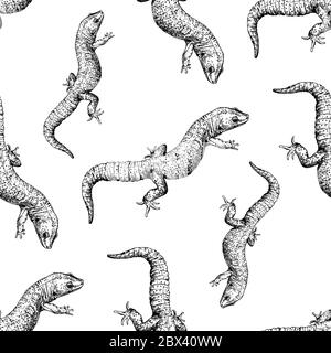 Ripetizione senza giunture di gecko di stile di schizzo disegnati a mano isolati su sfondo bianco. Illustrazione vettoriale. Illustrazione Vettoriale