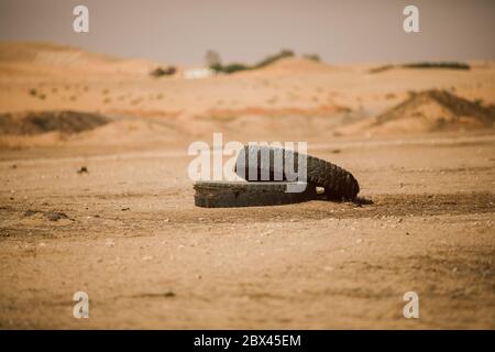 Pneumatici vecchi nel deserto Foto Stock