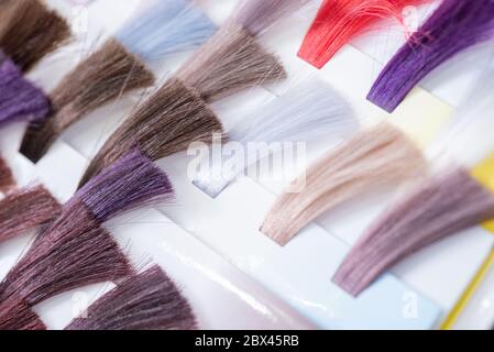 Tabella dei colori dei capelli. Tavolozza di campioni di capelli colorati e brillanti. Catalogo per la selezione in un salone di bellezza Foto Stock