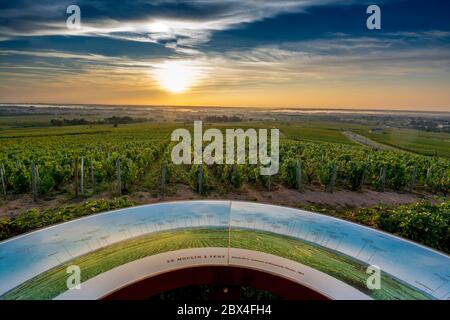 Tabella di orientamento sui vigneti Beaujolais, Rodano, Auvergne-Rodano-Alpi, Francia Foto Stock