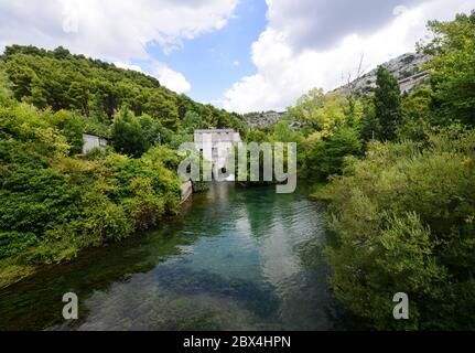 Il fiume Jadro vicino Spalato, Croazia. Foto Stock