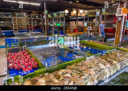 Pesce fresco e pesce in vasche d'acqua, ristorante di pesce, Nguyen Van Thoai Street, quartiere My Khe, Danang, Vietnam Foto Stock