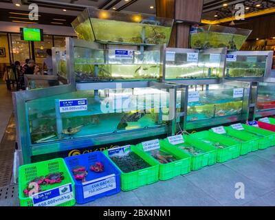 Pesce fresco e pesce in vasche d'acqua, ristorante di pesce, Nguyen Van Thoai Street, quartiere My Khe, Danang, Vietnam Foto Stock