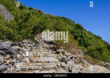 Vista del sentiero escursionistico da Corniglia a Vernazza, cinque Terre, Italia Foto Stock