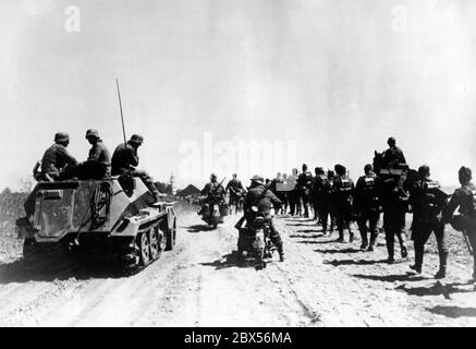 Fanteria tedesca e SD.Kfz. 250 (Schuetzenpanzerwagen SD.Kfz. 250) veicolo da combattimento di fanteria (a sinistra) sull'avanzata vicino a Virbalis (in tedesco: Wirballen) al confine con la Lituania. Gruppo militare della zona Nord (Heeresgruppe Nord). Foto Stock