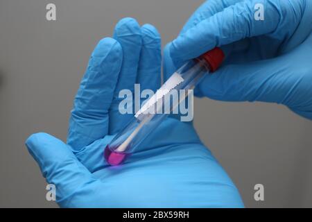 03 giugno 2020, Sassonia-Anhalt, Halberstadt: Mani con guanti di gomma blu stanno tenendo un tubo con il bastoncino di un abitante. I soldati delle forze armate tedesche sostengono le misure igieniche con test volontari della corona nello ZASt - punto di contatto centrale per i richiedenti asilo in Sassonia-Anhalt nel quadro dell'assistenza amministrativa. Due volte alla settimana gli attuali 430 residenti sono stati testati nelle ultime settimane. Con la fine della missione della Bundeswehr, iniziata il 17 aprile dopo un'epidemia di infezione nello ZASt, i residenti sono ora testati settimanalmente dagli aiutanti del Malteser Hilf Foto Stock