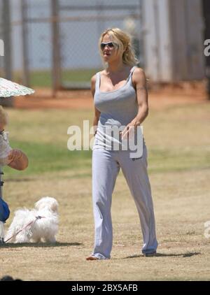 Pamela Anderson seduta sull'erba, mangiando hamburger a Malibu, CA maggio 2008 Foto Stock