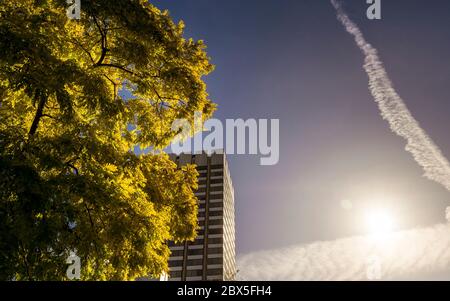 Velivoli Vapor Trail in un cielo blu chiaro su Londra, Inghilterra. Foto Stock