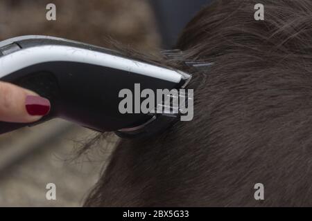 Dettaglio di un taglio di capelli da un parrucchiere. Il parrucchiere tiene in mano un rasoio elettrico. Foto Stock