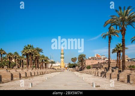 Vicolo di Sphinx nel complesso del tempio di Karnak, Luxor, Egitto Foto Stock