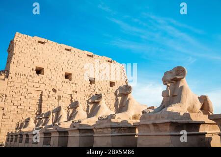 Sfingi a testa di RAM nel complesso del tempio di Karnak, Luxor, Egitto Foto Stock