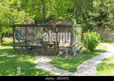 Hutch di pollo, Hattingley, Medstead, Alton, Hampshire, Inghilterra, Regno Unito. Foto Stock