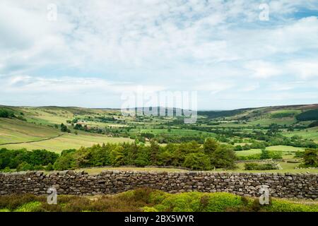 Vista attraverso le North York Moors con prominenti muraglia a secco, alberi, campi, erica e erbe sotto il cielo blu e nuvoloso in primavera a Glaisdale, York Foto Stock