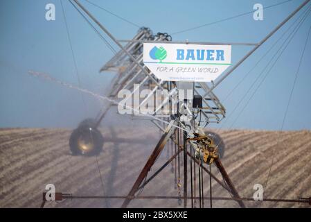 Cracovia am See, Germania. 03 giugno 2020. Un impianto sprinkler mobile irriga un campo vicino a Cracovia am See nel Meclemburgo-Vorpommern. La siccità nel nord sta diventando sempre più grave. Credit: Lord-Lord/dpa-Zentralbild/ZB/dpa/Alamy Live News Foto Stock