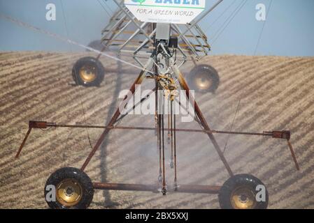 Cracovia am See, Germania. 03 giugno 2020. Un impianto sprinkler mobile irriga un campo vicino a Cracovia am See nel Meclemburgo-Vorpommern. La siccità nel nord sta diventando sempre più grave. Credit: Lord-Lord/dpa-Zentralbild/ZB/dpa/Alamy Live News Foto Stock