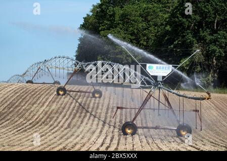 Cracovia am See, Germania. 03 giugno 2020. Un impianto sprinkler mobile irriga un campo vicino a Cracovia am See nel Meclemburgo-Vorpommern. La siccità nel nord sta diventando sempre più grave. Credit: Lord-Lord/dpa-Zentralbild/ZB/dpa/Alamy Live News Foto Stock