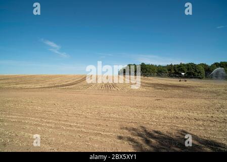 Cracovia am See, Germania. 03 giugno 2020. Un impianto sprinkler mobile irriga un campo vicino a Cracovia am See nel Meclemburgo-Vorpommern. La siccità nel nord sta diventando sempre più grave. Credit: Lord-Lord/dpa-Zentralbild/ZB/dpa/Alamy Live News Foto Stock