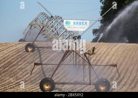 Cracovia am See, Germania. 03 giugno 2020. Un impianto sprinkler mobile irriga un campo vicino a Cracovia am See nel Meclemburgo-Vorpommern. La siccità nel nord sta diventando sempre più grave. Credit: Lord-Lord/dpa-Zentralbild/ZB/dpa/Alamy Live News Foto Stock
