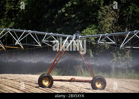 Cracovia am See, Germania. 03 giugno 2020. Un impianto sprinkler mobile irriga un campo vicino a Cracovia am See nel Meclemburgo-Vorpommern. La siccità nel nord sta diventando sempre più grave. Credit: Lord-Lord/dpa-Zentralbild/ZB/dpa/Alamy Live News Foto Stock